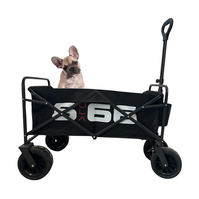 c8cf09_3d759977d81844d5bf4833a0a6781009~mv2